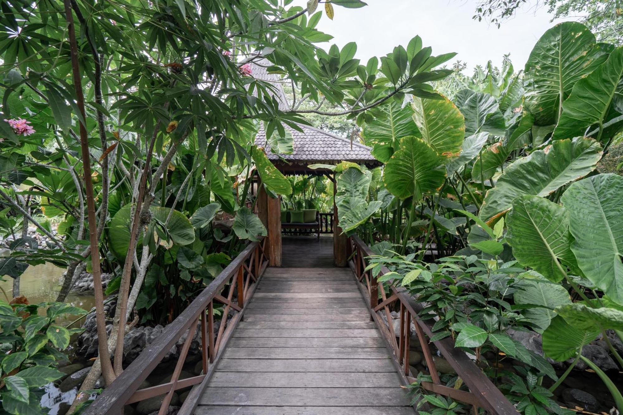 Kropak Canggu Luaran gambar